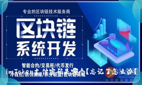 imToken支付密码是哪个？忘记了怎么办？