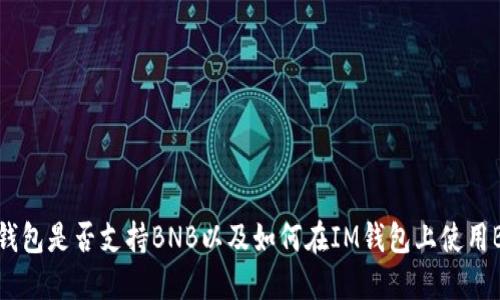 IM钱包是否支持BNB以及如何在IM钱包上使用BNB