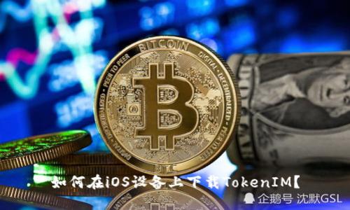 如何在iOS设备上下载TokenIM？