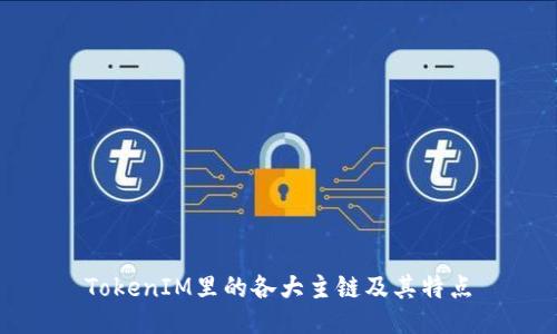 TokenIM里的各大主链及其特点