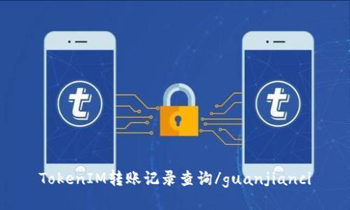 TokenIM转账记录查询/guanjianci