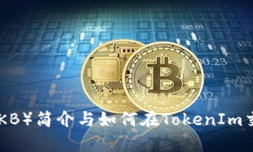 玩客币（WKB）简介与如何在TokenIm交易所购买