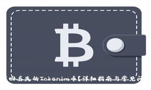 如何找回丢失的Tokenim币？详细指南与常见问题解析