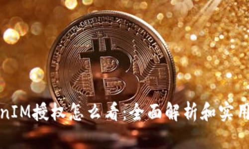 TokenIM授权怎么看：全面解析和实用指南