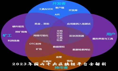 2023年国内十大区块链平台全解析