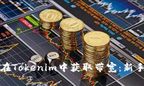 如何在Tokenim中获取带宽：新手指南