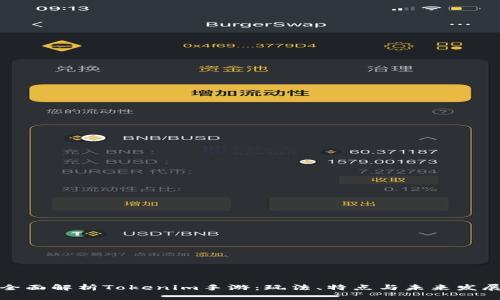 全面解析Tokenim手游：玩法、特点与未来发展