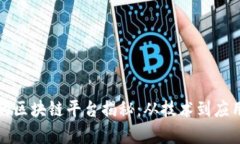 全球最精彩的区块链平台揭秘：从技术到应用的