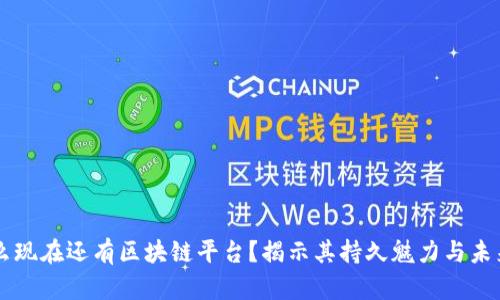 为什么现在还有区块链平台？揭示其持久魅力与未来潜力