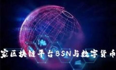 探索国家区块链平台BSN与数字货币的未来