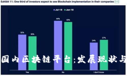 全面解析国内区块链平台：发展现状与未来趋势