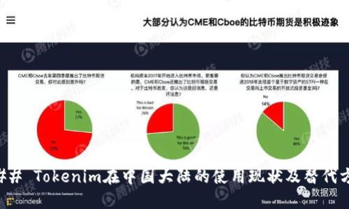 ### Tokenim在中国大陆的使用现状及替代方案