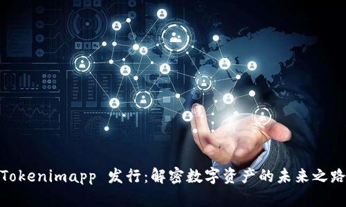 Tokenimapp 发行：解密数字资产的未来之路