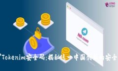 ### **Tokenim安全码：揭秘这一中国创新的安全防护