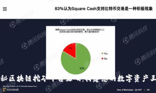 揭秘区块链挖矿平台源码：构建您的数字资产王国