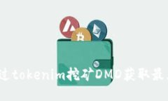 如何通过tokenim挖矿DMD获取最大收益？