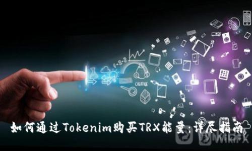 如何通过Tokenim购买TRX能量：详尽指南