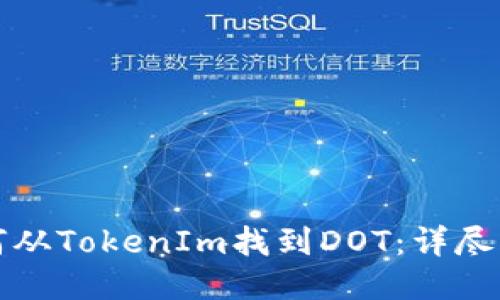 如何从TokenIm找到DOT：详尽指南