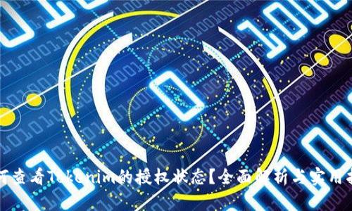 如何查看Tokenim的授权状态？全面解析与实用指南