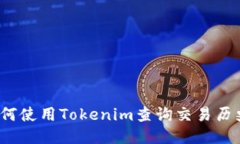 如何使用Tokenim查询交易历史？