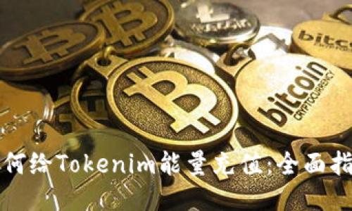 如何给Tokenim能量充值：全面指南