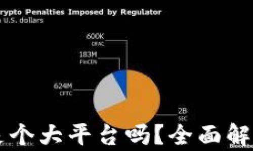 
区块链到底是个大平台吗？全面解析与未来展望