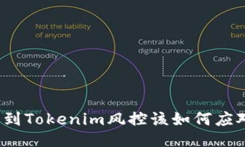 遇到Tokenim风控该如何应对？