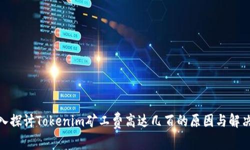 : 深入探讨Tokenim矿工费高达几百的原因与解决方案