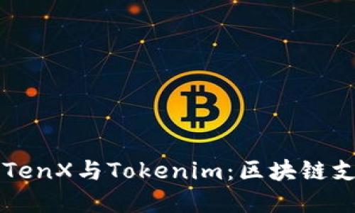 深入了解TenX与Tokenim：区块链支付的未来