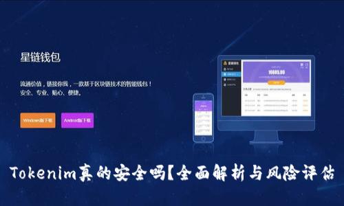 Tokenim真的安全吗？全面解析与风险评估