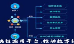 最专业区块链应用平台：推动数字经济的未来