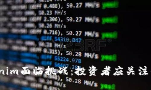 Tokenim面临挑战：投资者应关注什么？