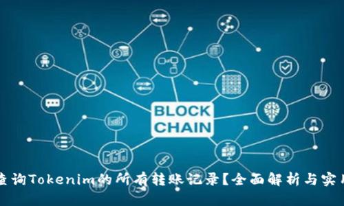 如何查询Tokenim的所有转账记录？全面解析与实用指南