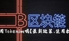 大陆用户还能使用Tokenim吗？最新政策、使用技巧