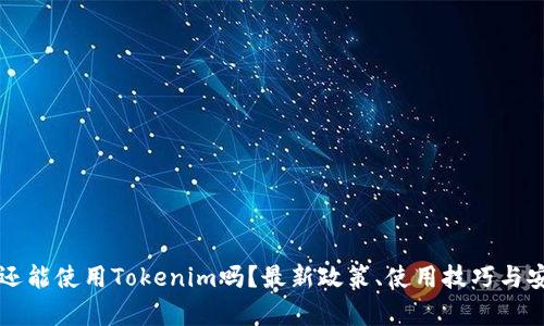 大陆用户还能使用Tokenim吗？最新政策、使用技巧与安全性分析