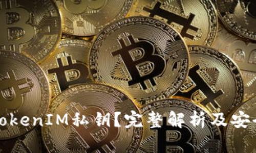 什么是TokenIM私钥？完整解析及安全性指南