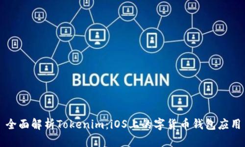 全面解析Tokenim：iOS上的字货币钱包应用