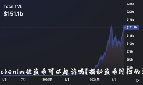 ### tokenim被盗币可以起诉吗？揭秘盗币纠纷的法律途径