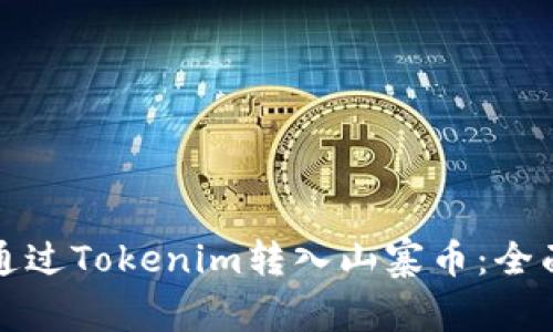 如何通过Tokenim转入山寨币：全面指南