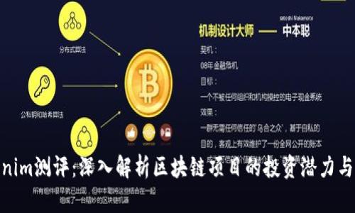 Tokenim测评：深入解析区块链项目的投资潜力与风险