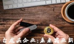 区块链电商平台龙头企业：未来商业新时代的引