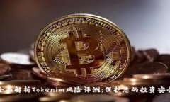 全面解析Tokenim风险评测：保护您的投资安全