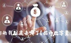 购买代币后，你的钱到底去哪了？揭开数字资产
