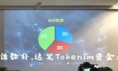 投资多少也无法弥补，这笔Tokenim资金为何不翼而