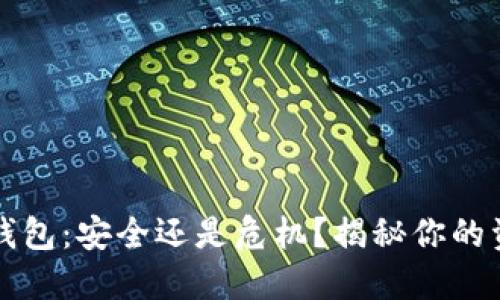 区块链平台钱包：安全还是危机？揭秘你的资产安全之路