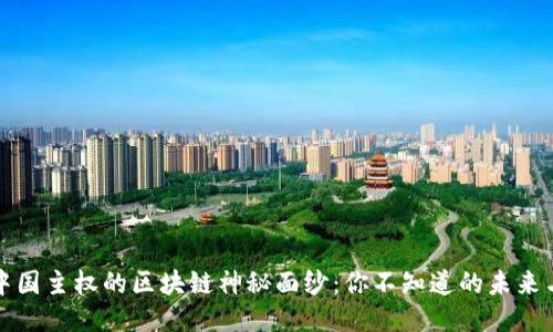 揭开中国主权的区块链神秘面纱：你不知道的未来与挑战