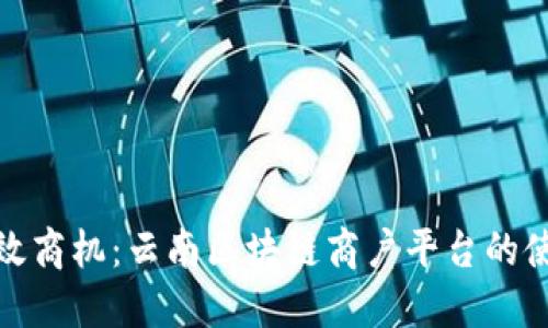 挖掘高效商机：云南区块链商户平台的使用攻略